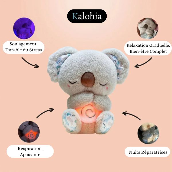Koala Apaisant - Votre point d’ancrage contre l’anxiété nocturne