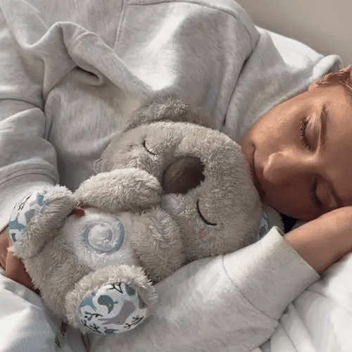 Koala Apaisant - Votre point d’ancrage contre l’anxiété nocturne