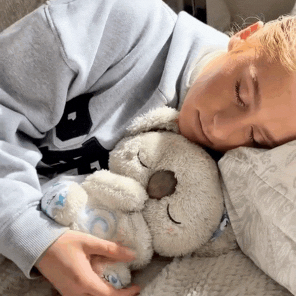 Koala Apaisant - Votre point d’ancrage contre l’anxiété nocturne